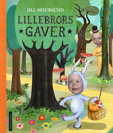 Lillebrors gaver