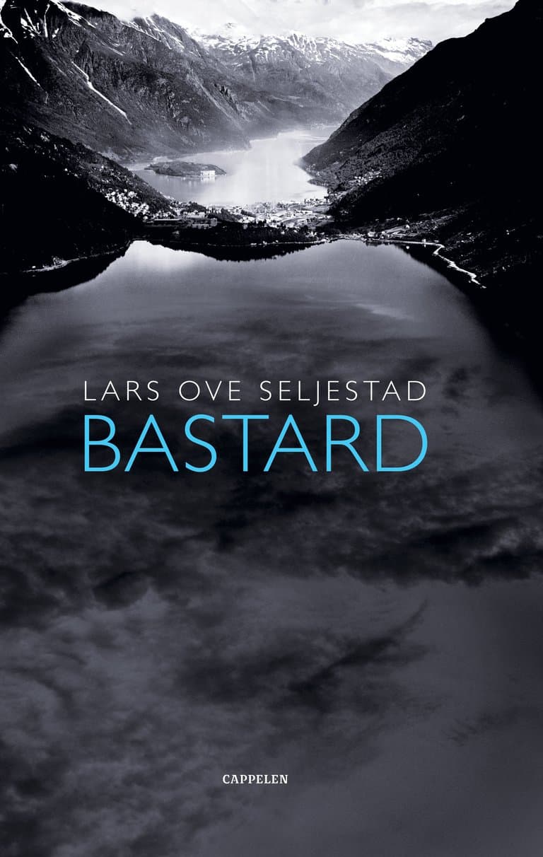 Omslag Bastard av Lars Ove Seljestad (Innbundet)