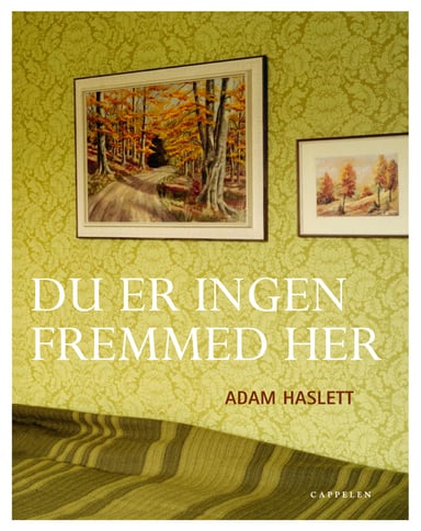 Omslag av "Du er ingen fremmed her"