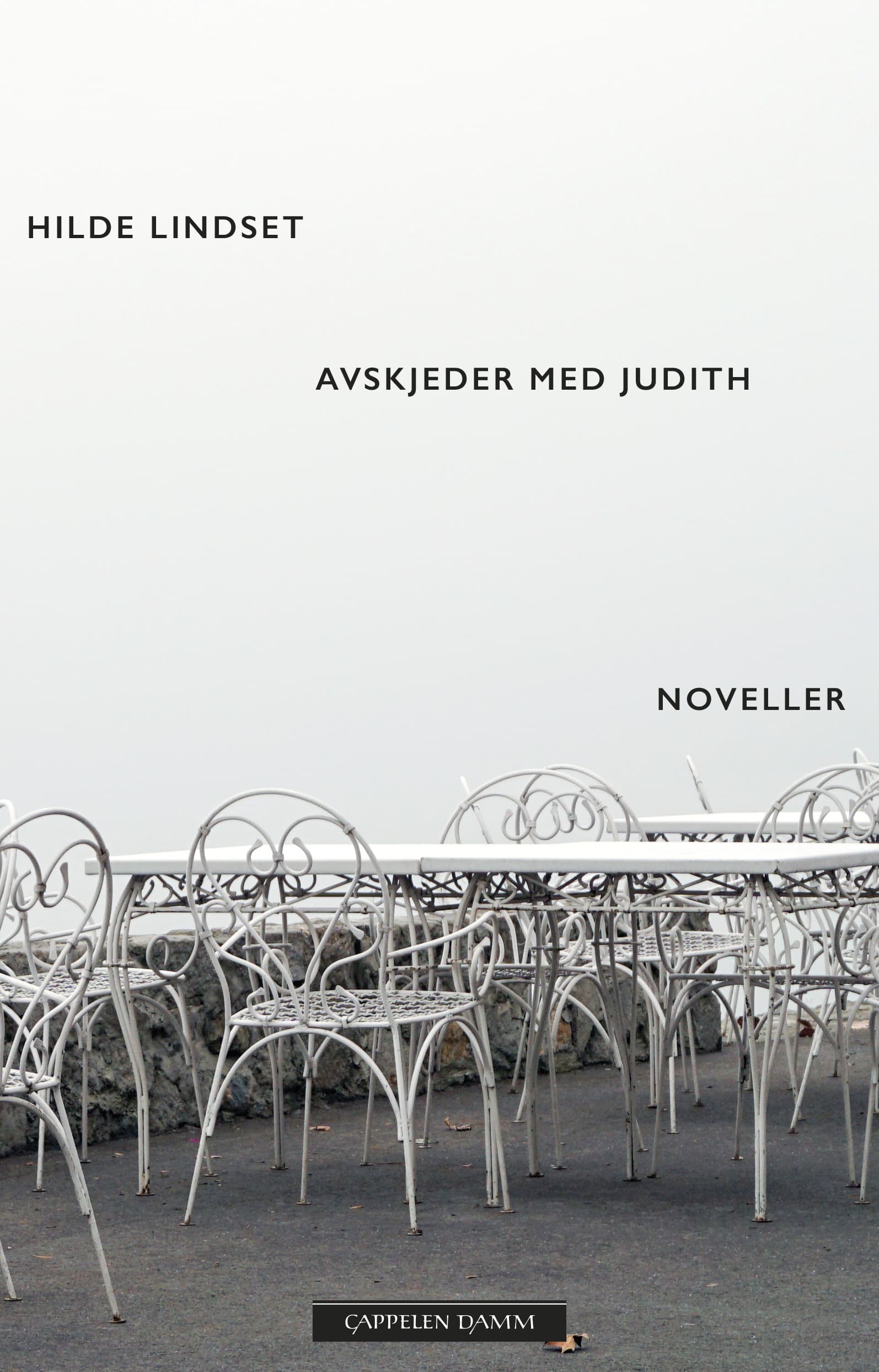 Omslag Avskjeder med Judith av Hilde Lindset (Ebok)