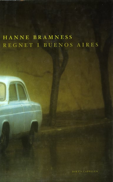 Omslag av "Regnet i Buenos Aires"