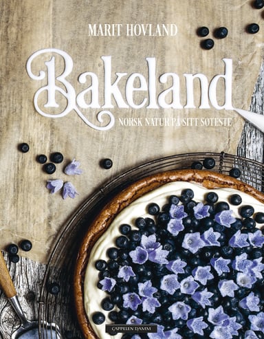 Omslag av "Bakeland"