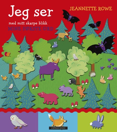 Omslag av "Jeg ser med mitt skarpe blikk"