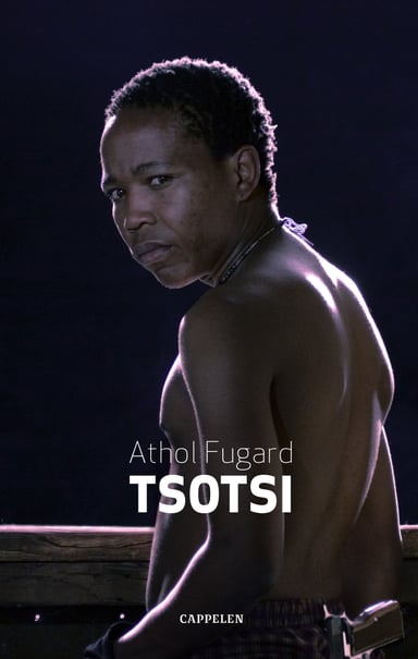 Omslag av "Tsotsi"