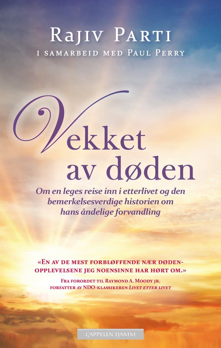 Omslag Vekket av døden av Rajiv Parti (Ebok)