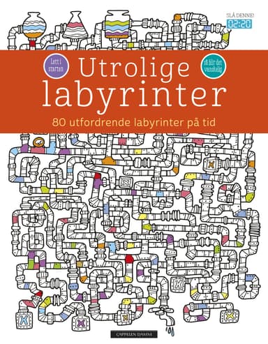Utrolige labyrinter