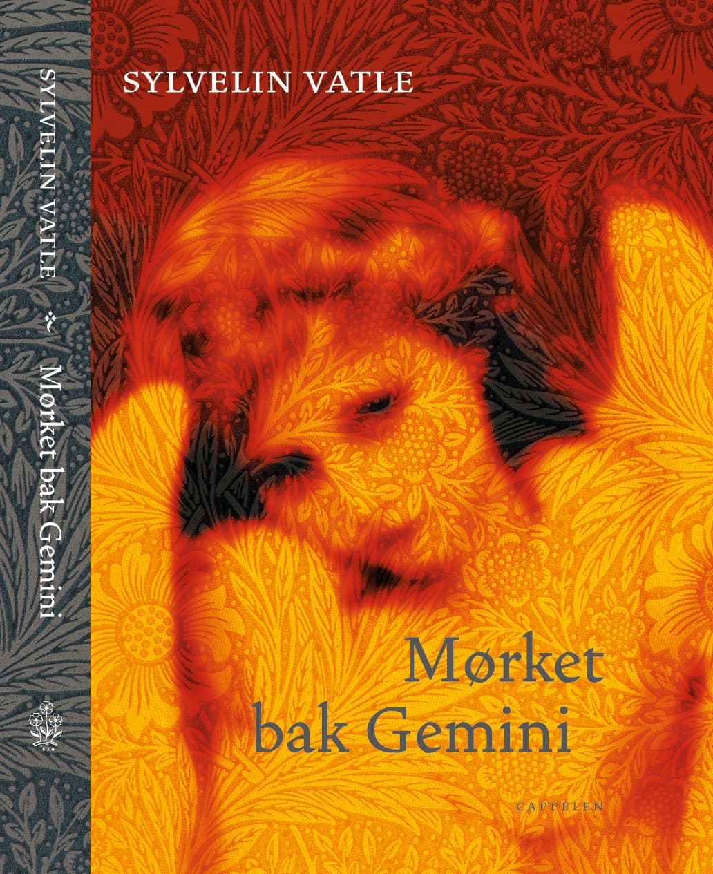 Omslag Mørket bak Gemini av Sylvelin Vatle (Innbundet)