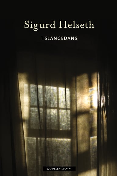 Omslag av "I slangedans"