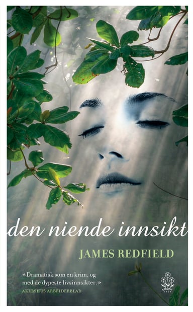 Omslag av "Den niende innsikt"