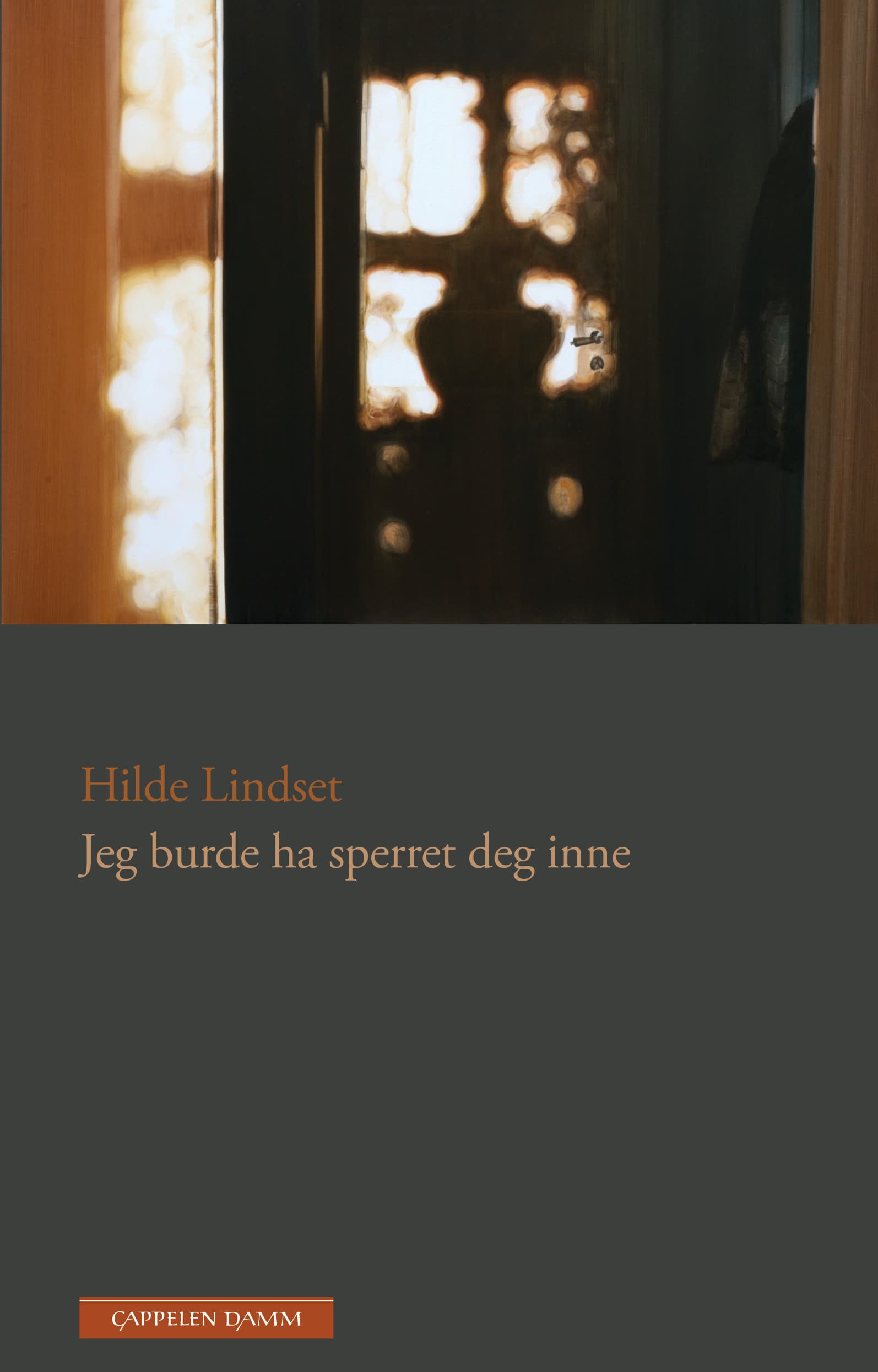 Omslag Jeg burde ha sperret deg inne av Hilde Lindset (Innbundet)