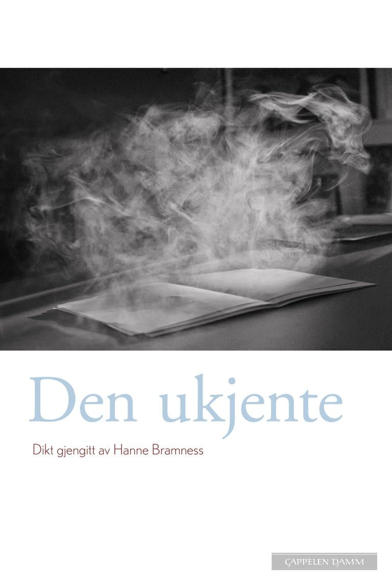Omslag Den ukjente av Hanne Bramness (Ebok)