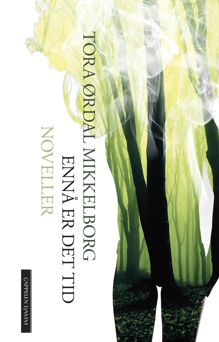 Omslag Ennå er det tid av Tora Ørdal Mikkelborg (Ebok)