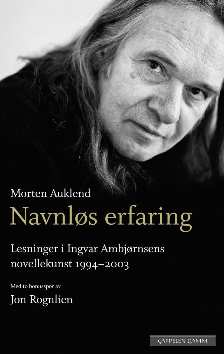 Omslag Navnløs erfaring av Morten Auklend (Ebok)