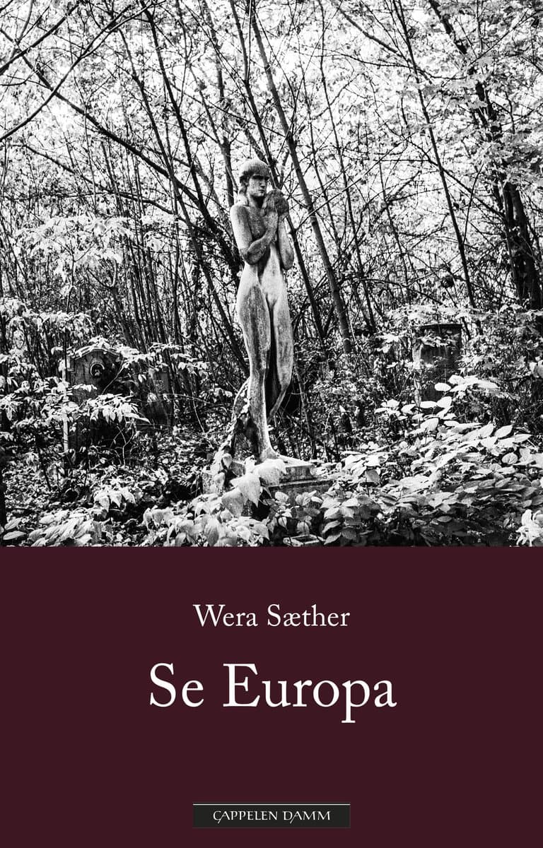 Omslag Se Europa av Wera Sæther (Ebok)