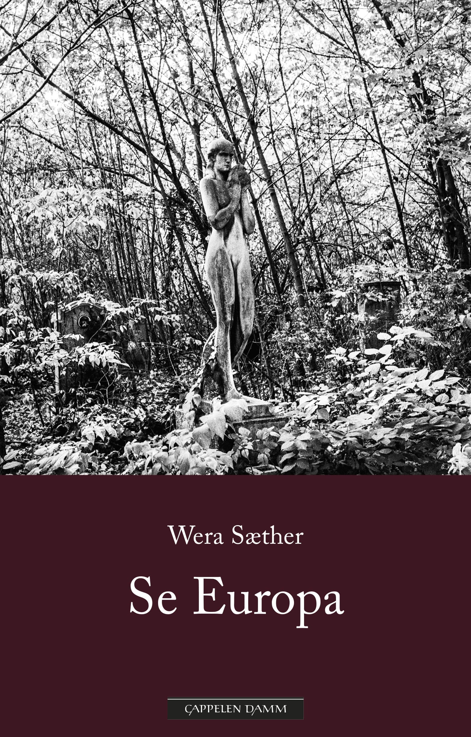 Omslag Se Europa av Wera Sæther (Ebok)