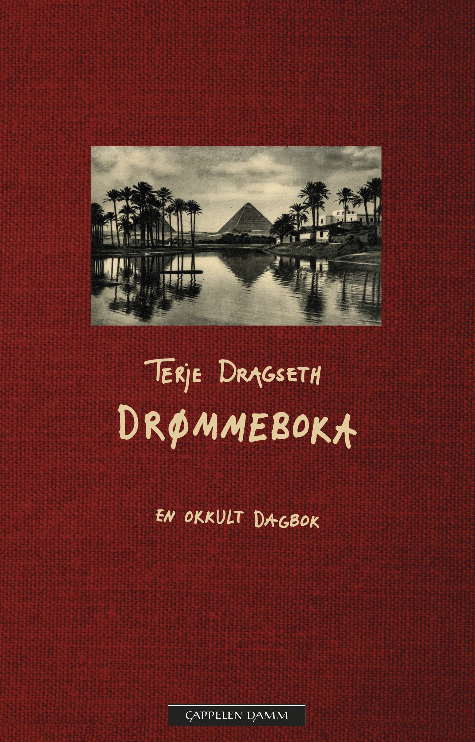 Omslag Drømmeboka av Terje Dragseth (Ebok)