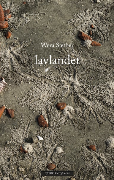 Omslag av "Lavlandet"