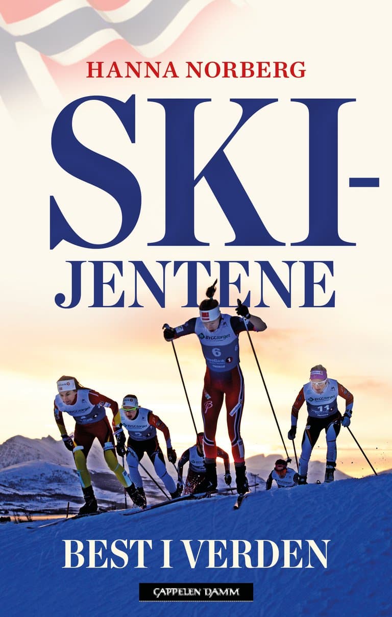 Omslag Skijentene av Hanna Norberg (Innbundet)