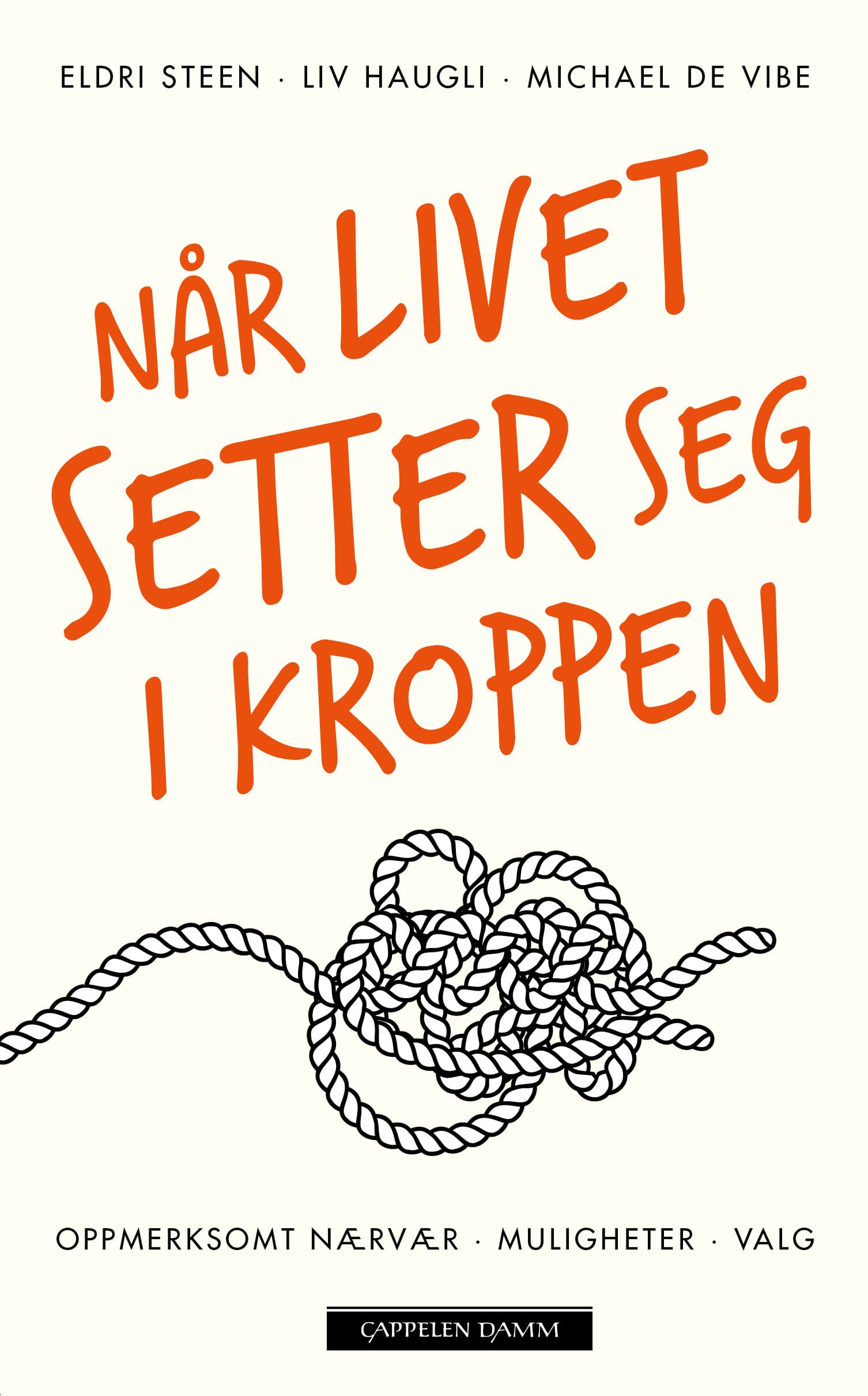 Omslag Når livet setter seg i kroppen av Eldri Steen, Liv Haugli og Michael de Vibe (Ebok)