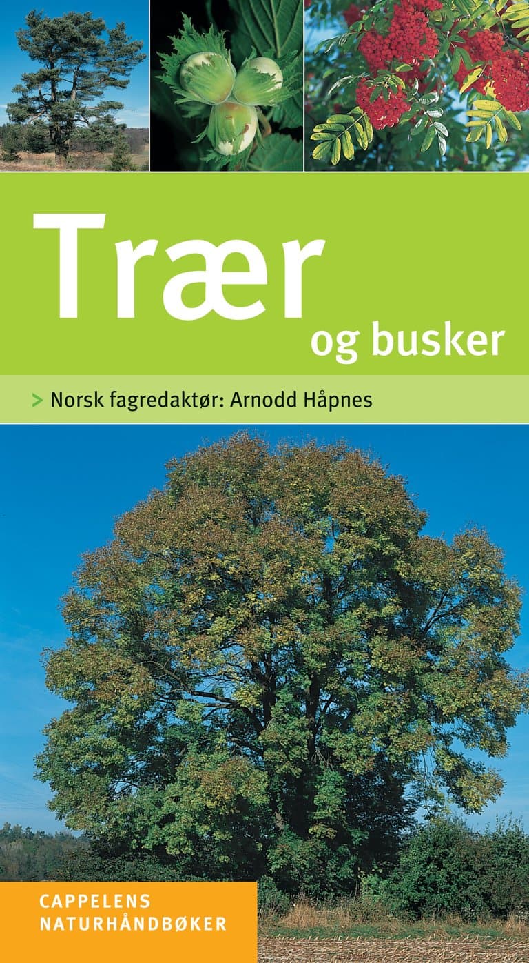 Omslag Trær og busker av Michael Eppinger og Helga Hofmann (red.) (Innbundet)