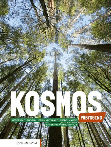 Omslag av "Kosmos Påbygging (2022)"