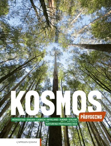 Kosmos Påbygging (2022)