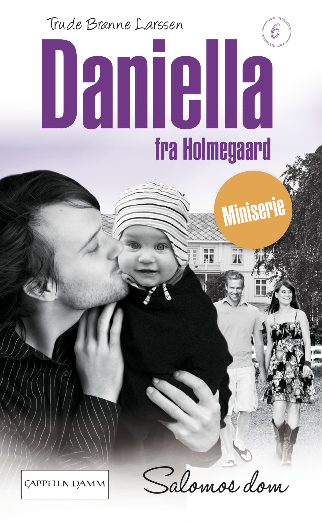 Omslag Salomos dom av Trude Brænne Larssen (Heftet)