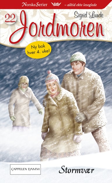 Omslag av "Stormvær"
