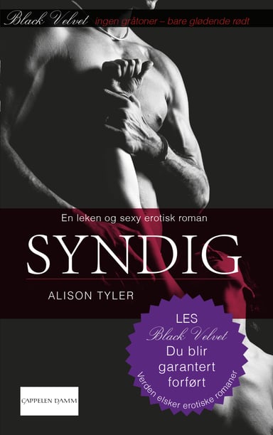 Omslag av "Syndig"