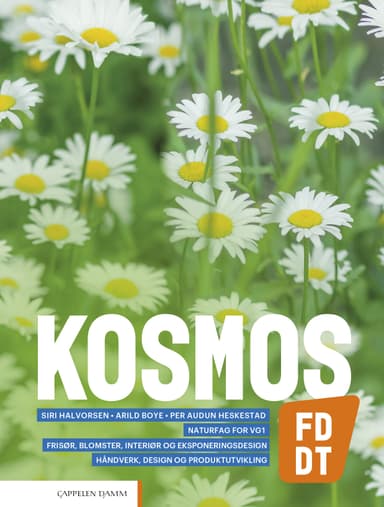 Kosmos FD, DT (2020)