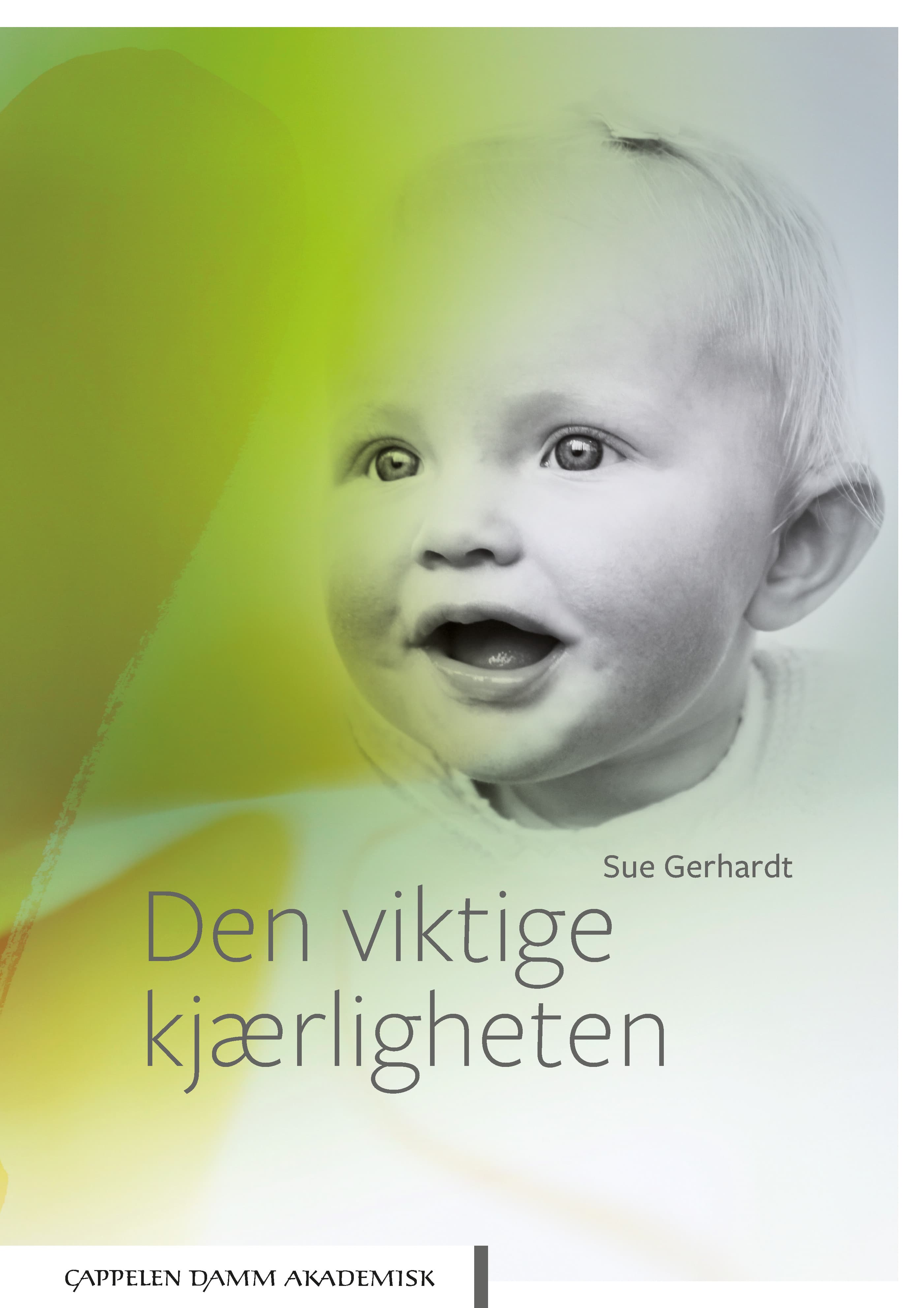 Omslag Den viktige kjærligheten av Sue Gerhardt (Heftet)