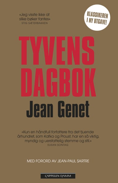 Omslag av "Tyvens dagbok"