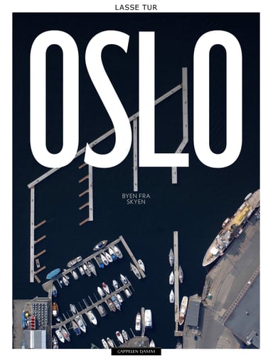 Omslag av "Oslo. Byen fra skyen"
