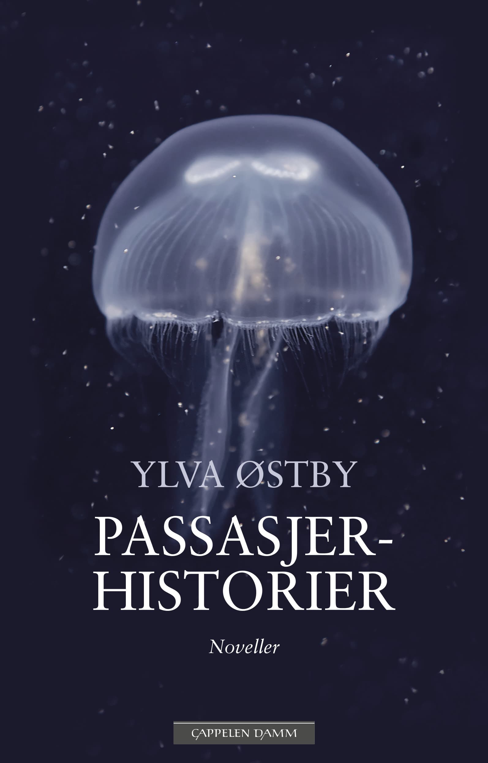 Omslag Passasjerhistorier av Ylva Østby (Ebok)