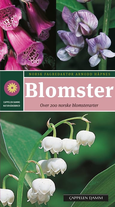 Omslag av "Blomster"