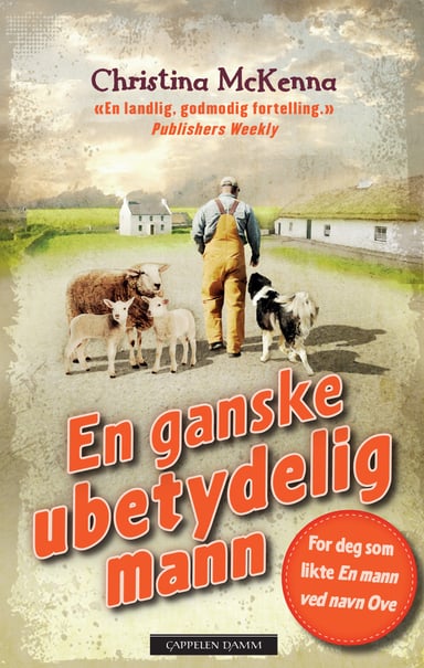 Omslag av "En ganske ubetydelig mann"