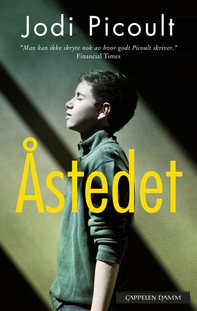 Omslag av "Åstedet"