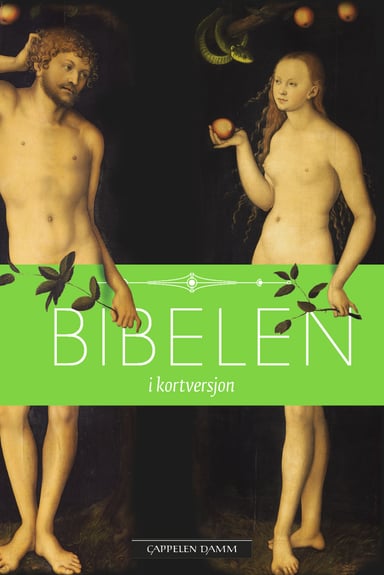 Omslag av "Bibelen i kortversjon"