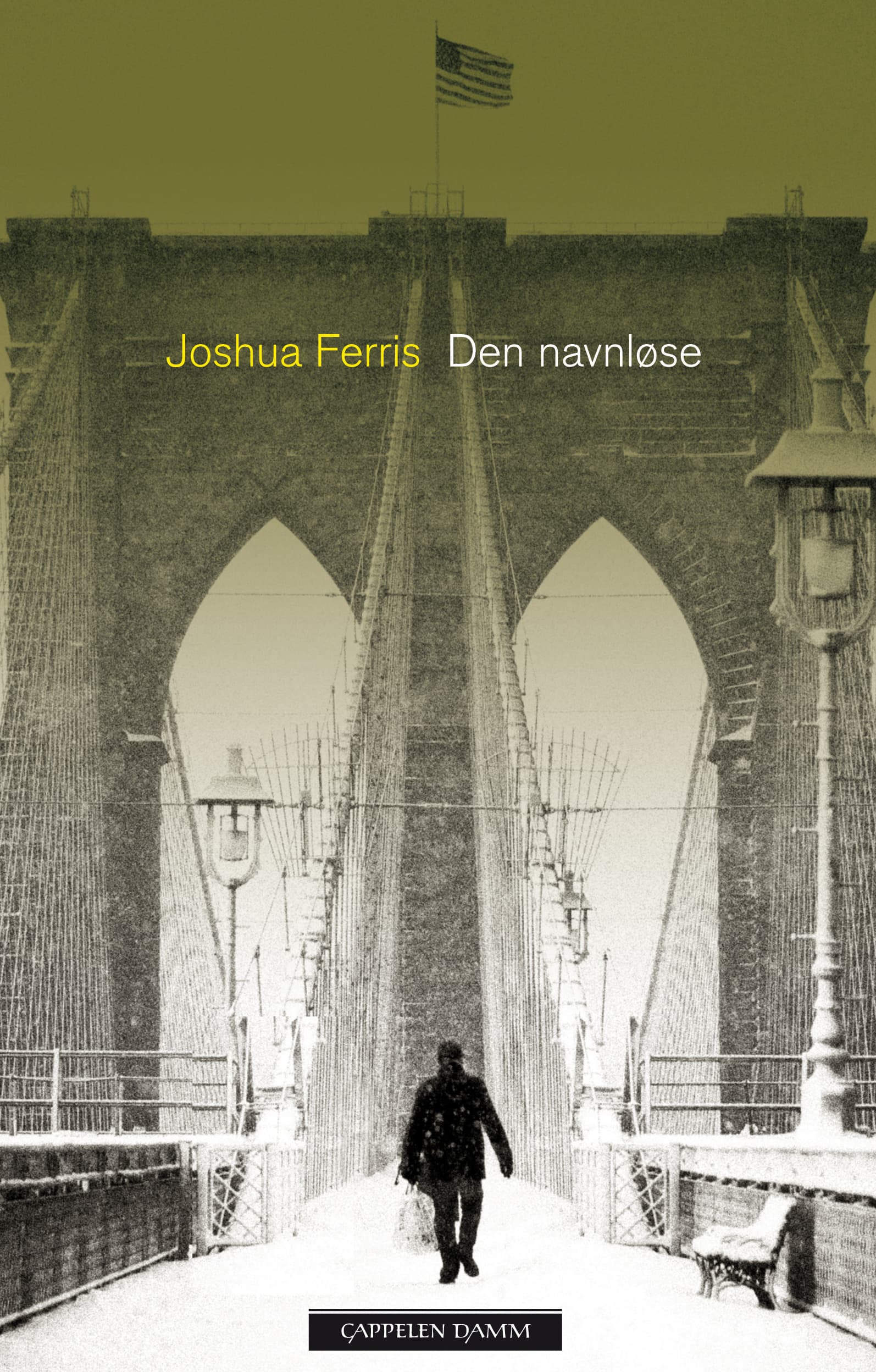 Omslag Den navnløse av Joshua Ferris (Ebok)