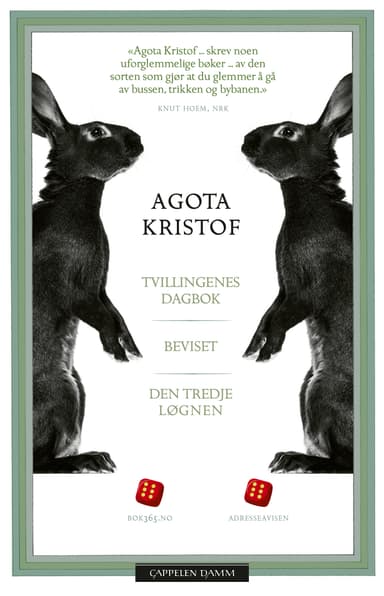 Tvillingenes dagbok, Beviset, Den tredje løgnen