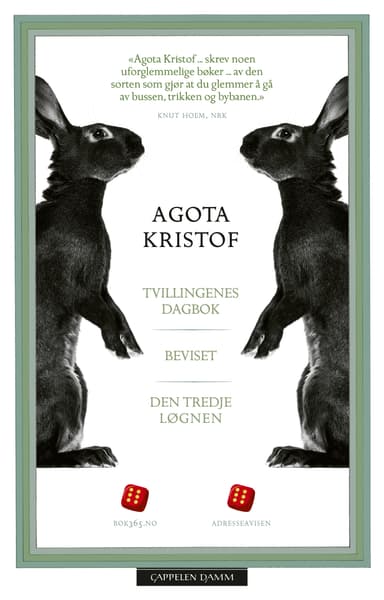 Tvillingenes dagbok, Beviset, Den tredje løgnen