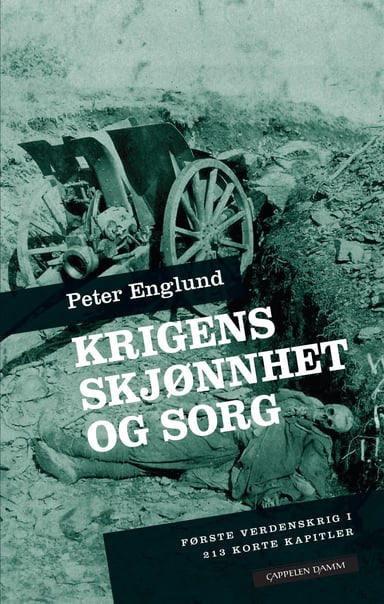 Omslag av "Krigens skjønnhet og sorg"