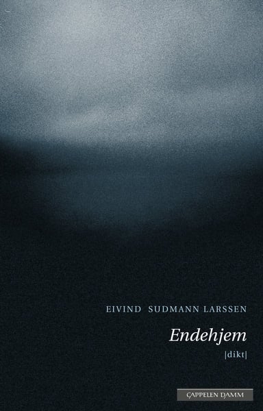 Omslag av "Endehjem"