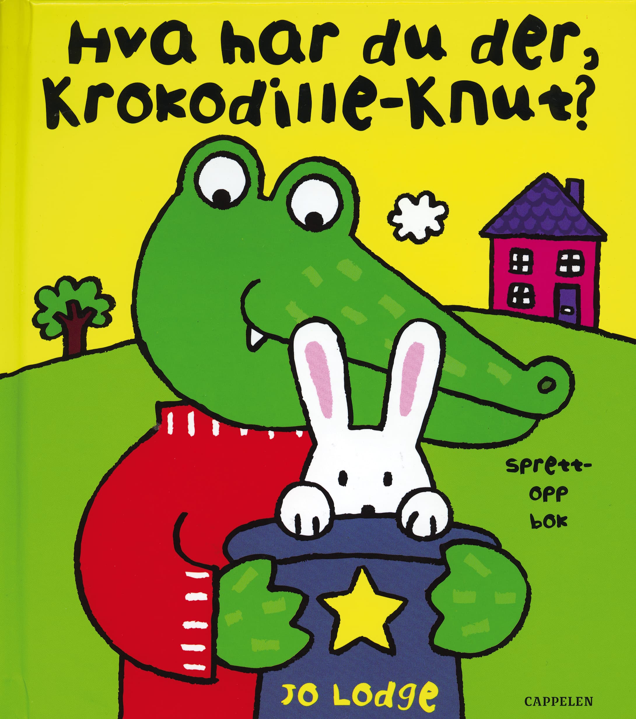 Omslag Hva har du der, Krokodille-Knut? av Jo Lodge (Innbundet)