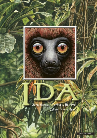 Omslag av "Ida (nynorsk)"