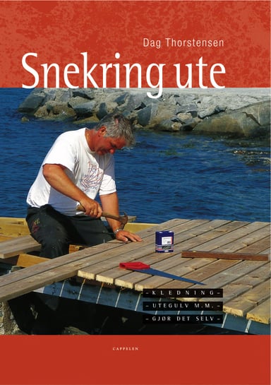 Omslag av "Snekring ute"