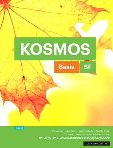 Kosmos SF Basis Arbeidsbok (2017)