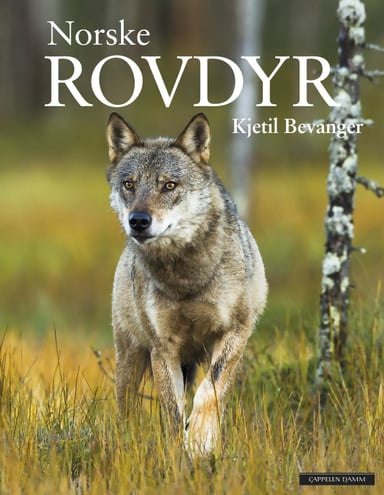 Omslag av "Norske rovdyr"