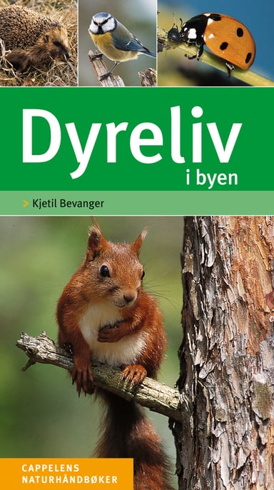 Omslag av "Dyreliv i byen"