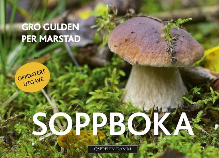 Omslag Soppboka av Gro Gulden (Innbundet)